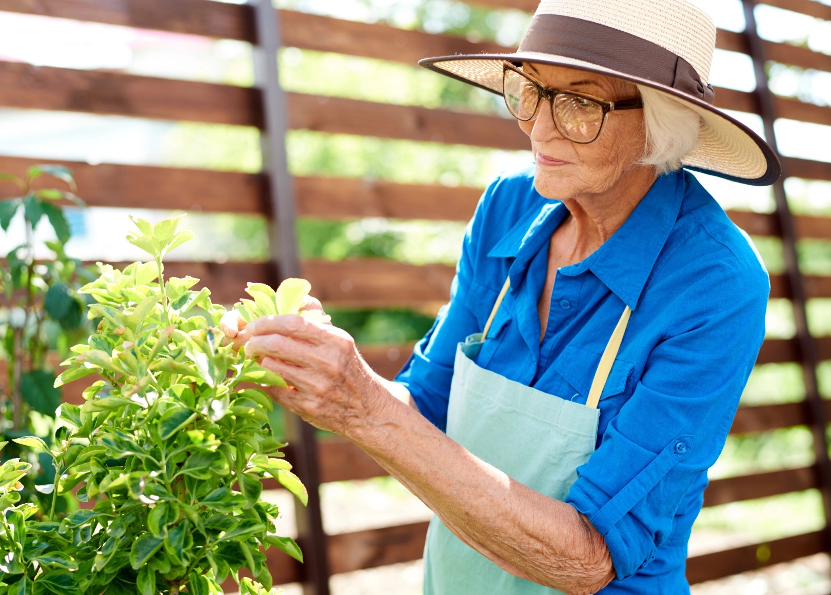 Summer Activities to Enjoy with Seniors